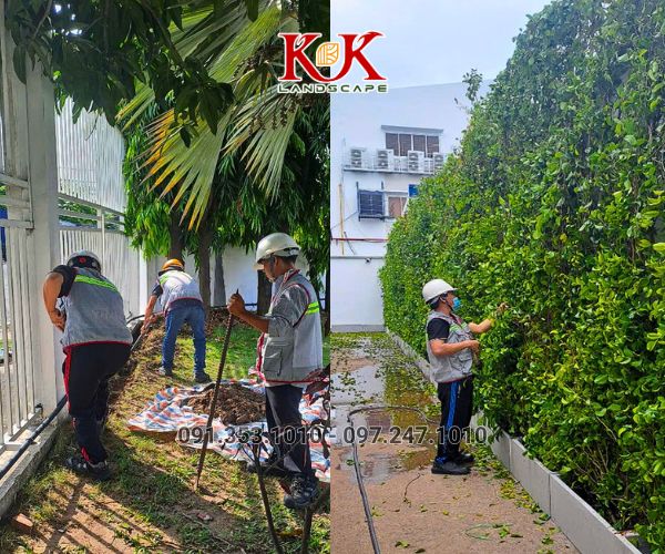 CUNG CẤP & THI CÔNG TƯỜNG CÂY GỪA, NHÀ CHÒI CÂY XANH, NHÀ MÁI VÒM BẰNG CÂY XANH