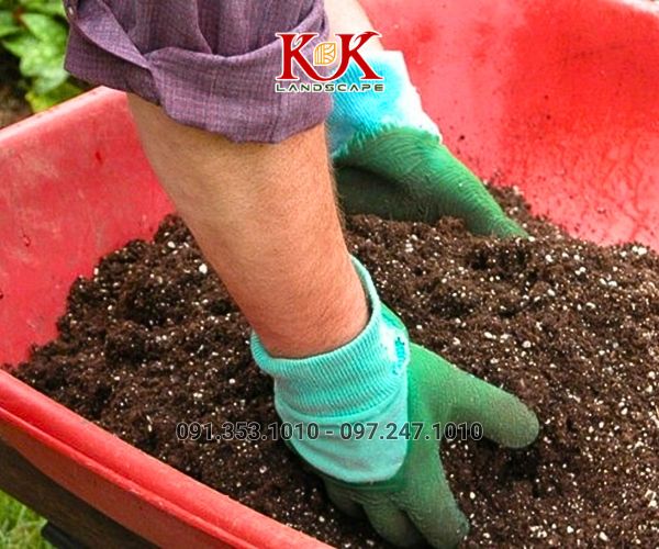 CUNG CẤP SỈ LẺ ĐẤT TRỒNG CÂY – GIẢI PHÁP ĐẤT CHUẨN CẢNH QUAN CHO MỌI DỰ ÁN