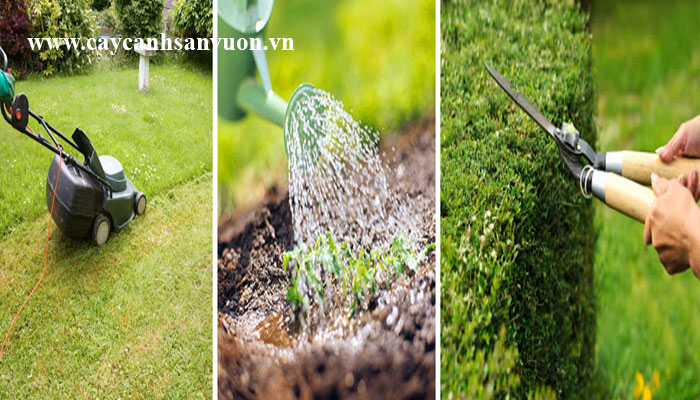 bảo dưỡng sân vườn