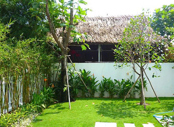 CÂY SÂN VƯỜN CẢNH QUAN ĐẸP PHÙ HỢP ĐỂ TRANG TRÍ