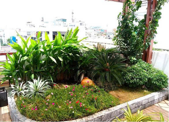 Ý TƯỞNG XÂY DỰNG TIỂU CẢNH SÂN VƯỜN MINI ĐẸP