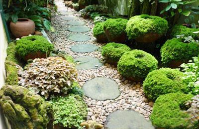 Bạn đang muốn tạo một không gian sân vườn xanh mát và ấn tượng? Thi công lối đi sân vườn sẽ giúp bạn hoàn thành mong muốn đó. Hãy ghé thăm hình ảnh liên quan để hình dung chi tiết hơn nhé!