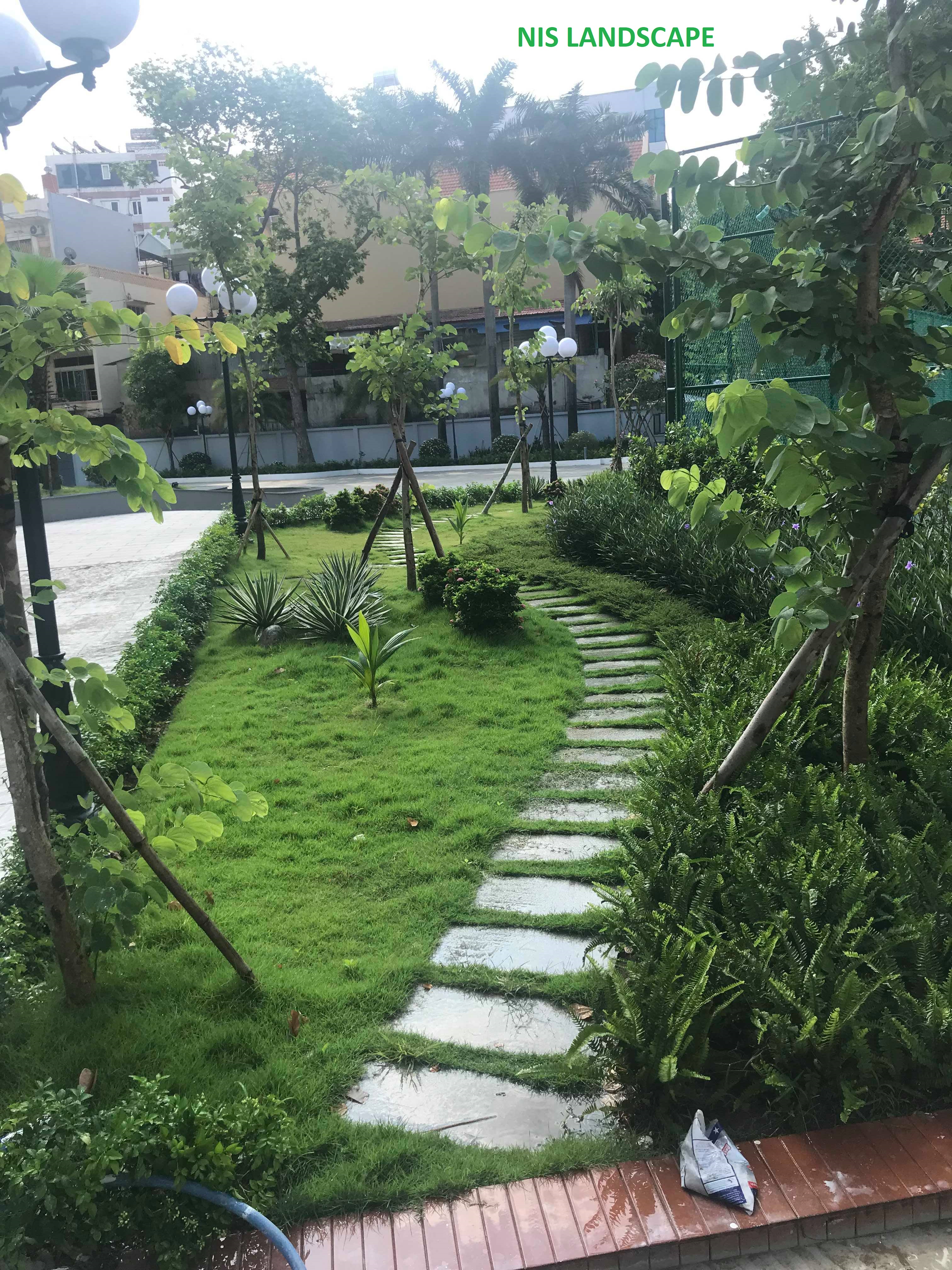 sân vườn được thiết kế theo lối đi 
